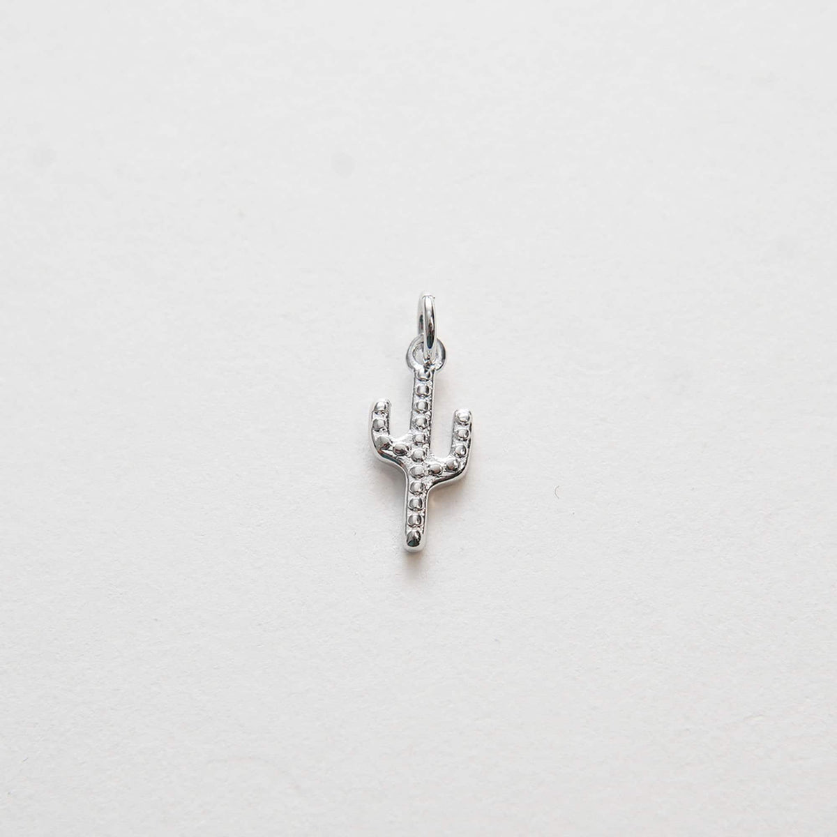 Gold Cactus Charms,18K Gold Filled Cactus Pendant,Silver Desert Charm Bracelet Necklace for DIY Jewelry Making Supply