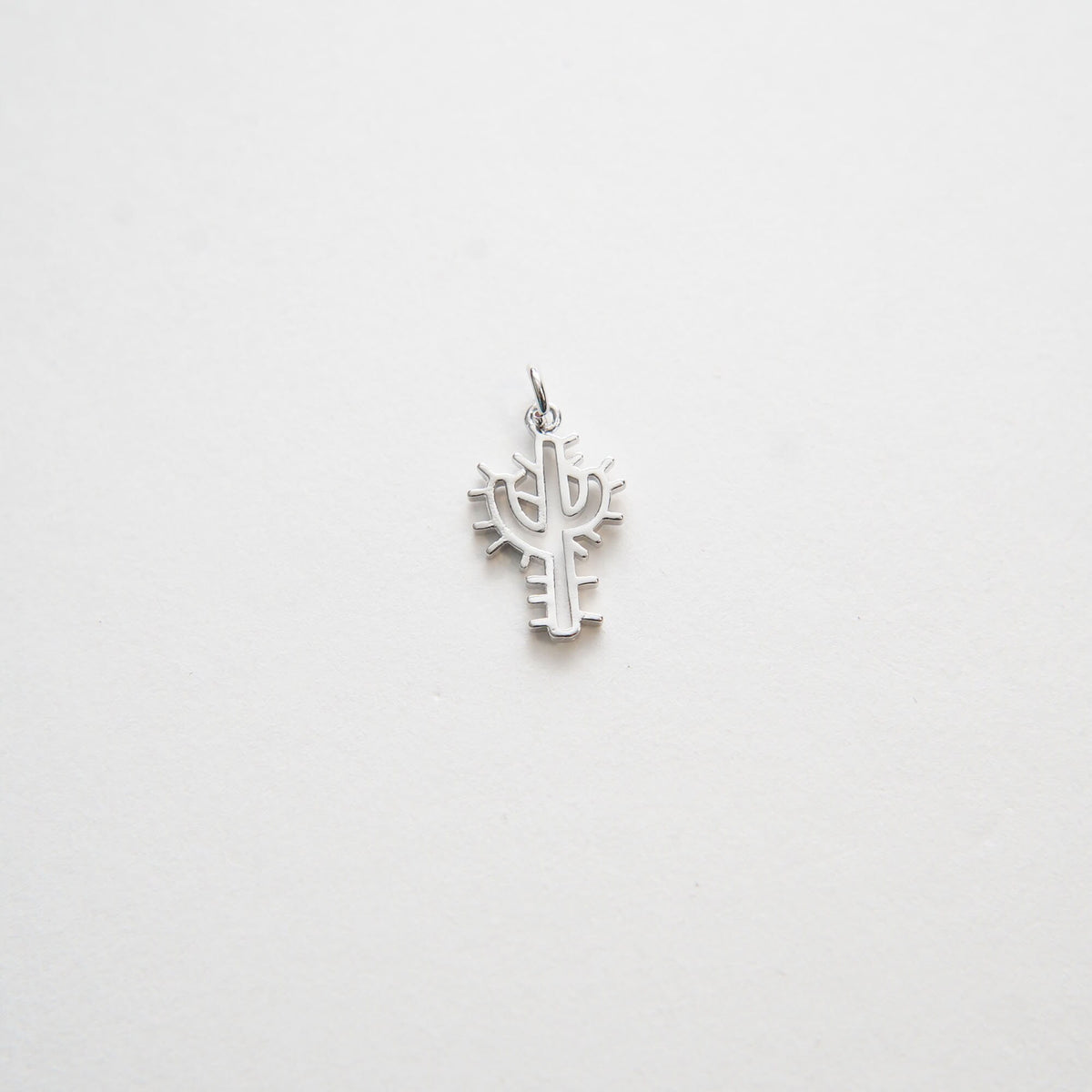 Gold Cactus Charms,18K Gold Filled Cactus Pendant,Silver Desert Charm Bracelet Necklace for DIY Jewelry Making Supply