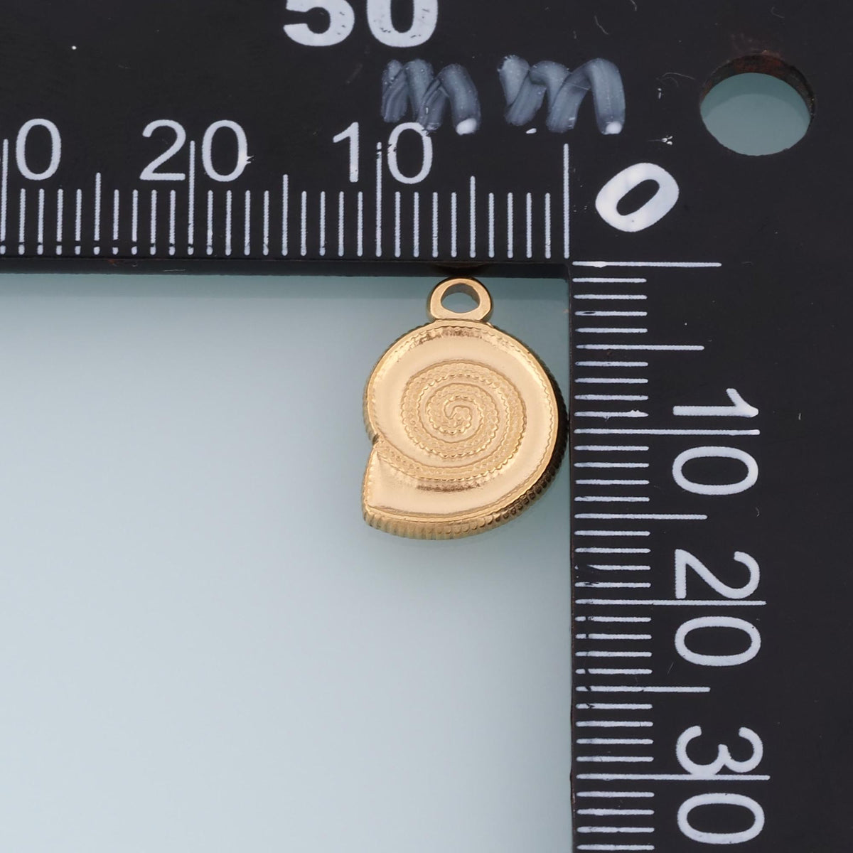 Shell Charm Pendant for Jewelry Making