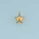Puffy Star Pendant,14K Gold Brushed Textured Five Point Star Charm DIY Charm for Necklace Bracelet Making