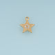 Beaded Star Pendant,14K Gold Sparkling Crystal Star Charm DIY Charm for Necklace Bracelet Making