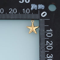 Textured Starfish Pendant,14K Gold Silver Ocean Starfish Charm DIY Charm for Necklace Bracelet Making