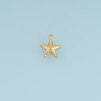 Textured Starfish Pendant,14K Gold Silver Ocean Starfish Charm DIY Charm for Necklace Bracelet Making