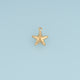 Textured Starfish Pendant,14K Gold Silver Ocean Starfish Charm DIY Charm for Necklace Bracelet Making
