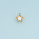 Shell Star Pendant,14K Gold White Mother of Pearl Star Charm DIY Charm for Necklace Bracelet Making