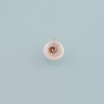 Gold Shell Charms,18K Gold Filled Conch Pendant,Conch Shell Charm Bracelet Necklace for DIY Jewelry Making Supply