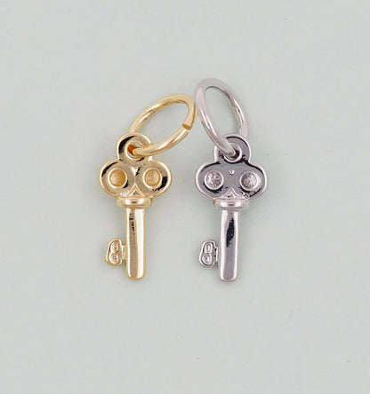 Gold Key Charms,18K Gold Filled Key Pendant,Key Charm Bracelet Necklace for DIY Jewelry Making Supply