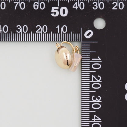 1pair 18K Gold Filled Ear clip Earrings,Gold Earrings,Dainty Earrings