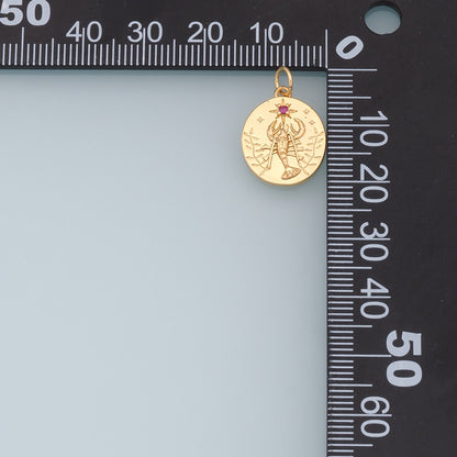 Gold Scorpion Star charms,18K Gold Filled Starburst Pendant,CZ North Star Charms Bracelet Necklace for DIY Jewelry Making Supply