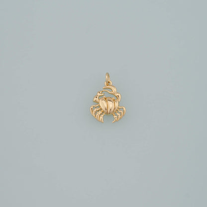 Gold Marine Life Charms,18K Gold Filled Crab Pendant,Crab Charms Bracelet Necklace for DIY Jewelry Making Supply