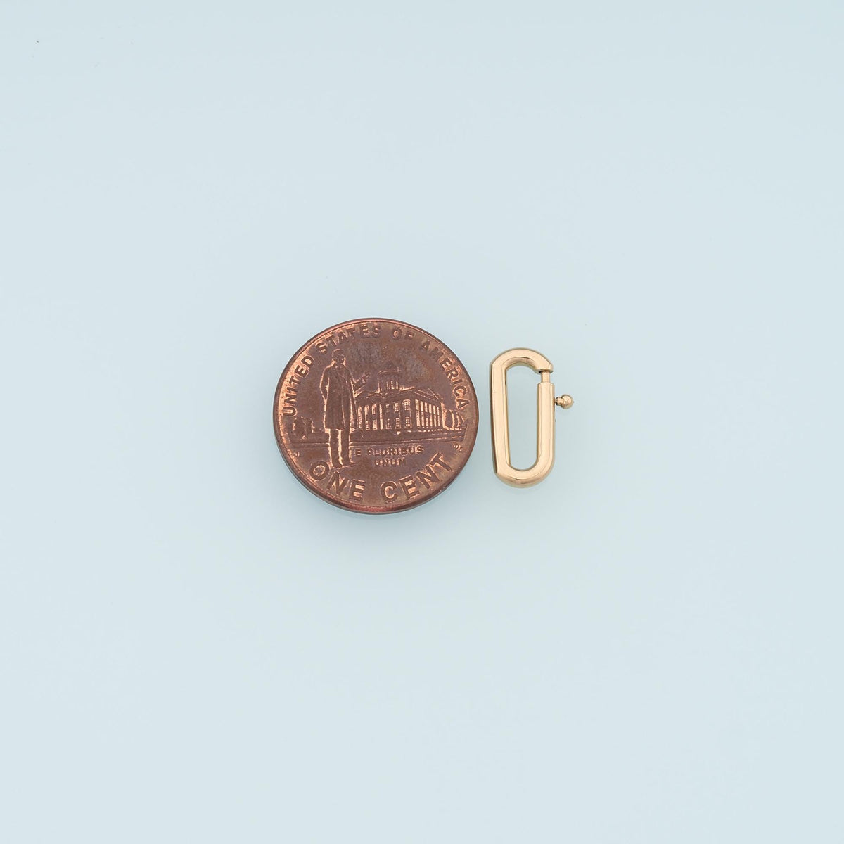 Oval Spring Carabiner Clasp,14K Gold Stainless Steel Clasp,Waterproof Clasp Connector for DIY Necklace Bracelet Making