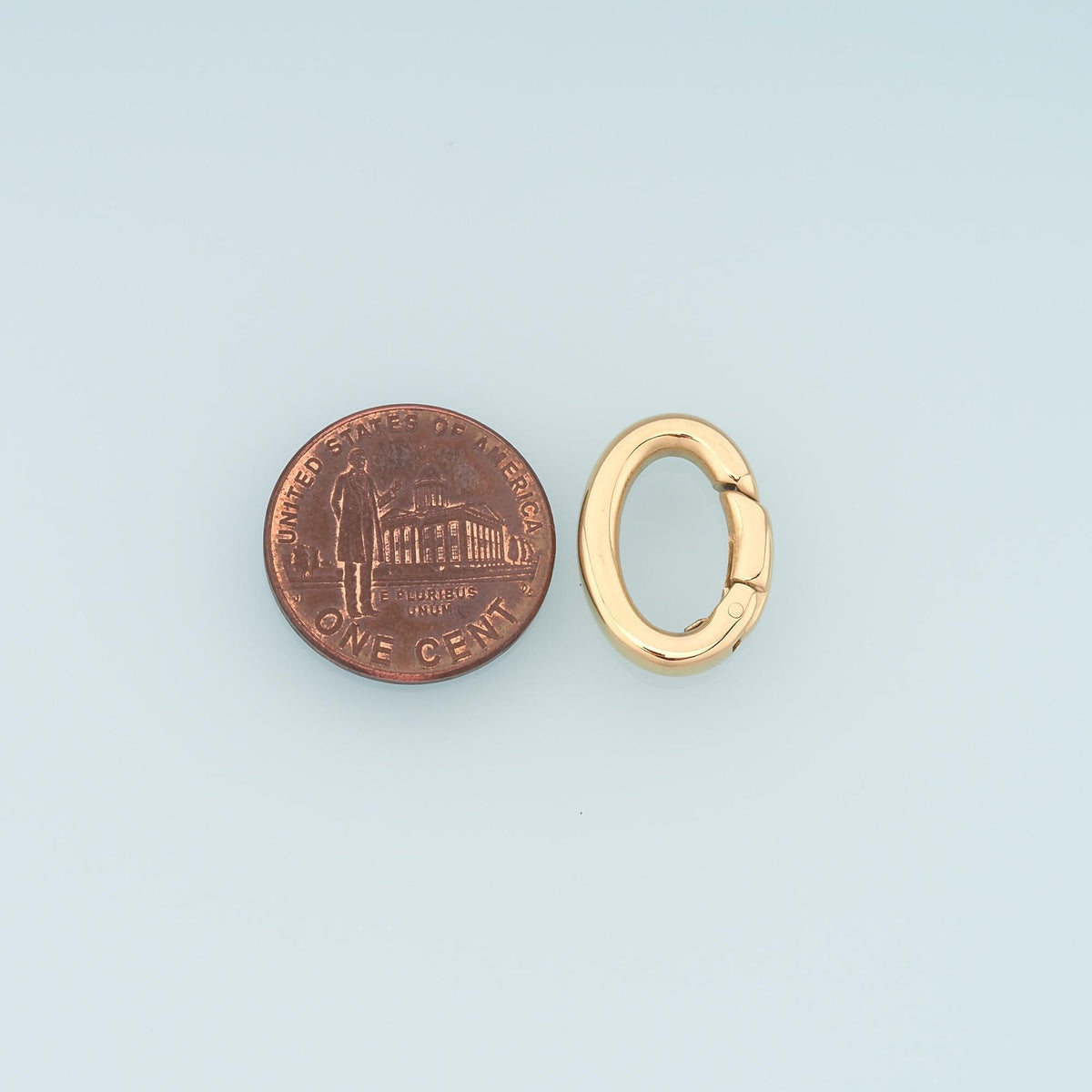 Oval Spring Carabiner Clasp,14K Gold Stainless Steel Connector ,Waterproof Connector for DIY Necklace Bracelet Making