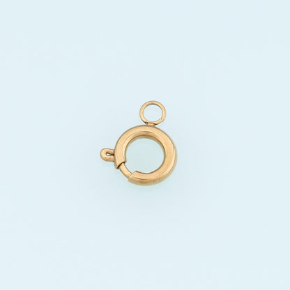 Round Spring Carabiner Clasp,14K Gold Stainless Steel Clasp,Waterproof Clasp Connector for DIY Necklace Bracelet Making