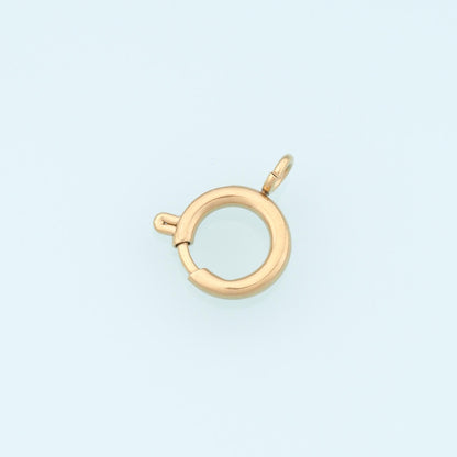 Round Spring Carabiner Clasp,14K Gold Stainless Steel Clasp,Waterproof Clasp Connector for DIY Necklace Bracelet Making