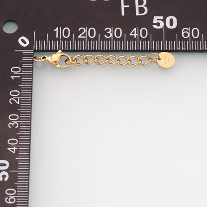 Stainless Lobster Clasp Adjustable Extender Chain ,14k Gold Filled Waterproof Tarnish Findings,DIY Necklace Bracelet Findings