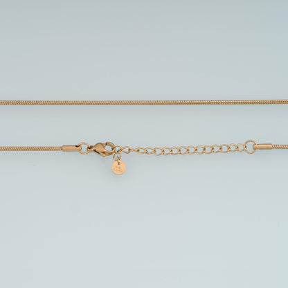 Ring Necklace,14K Gold Filled Waterproof Non Tarnish Necklace,DIY Everyday Layering Necklace