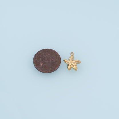 Beckon Mini Starfish Pendant,14K Gold Minimalist Charm DIY Charm for Necklace Bracelet Making