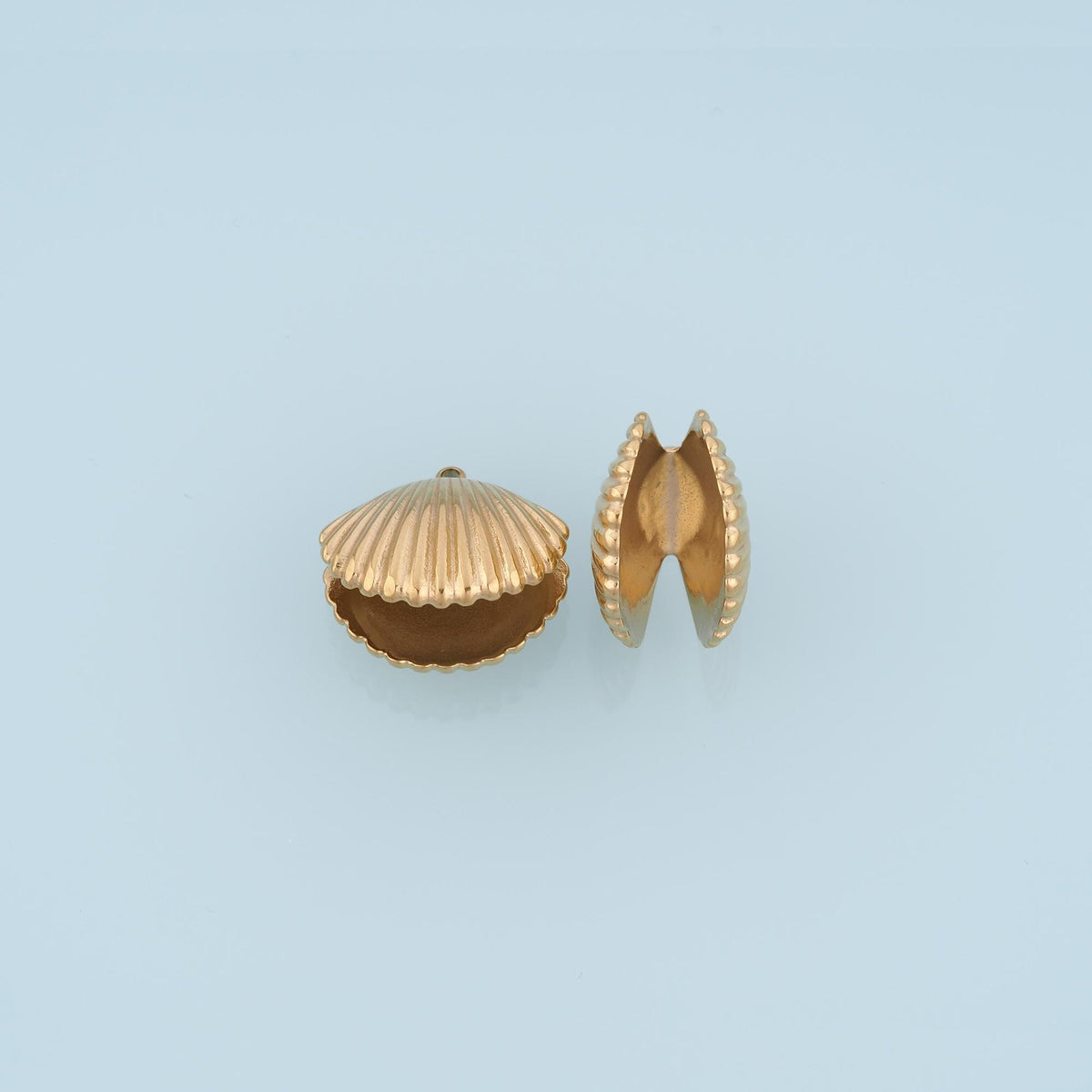 Shell Charm Pendant for Jewelry Making