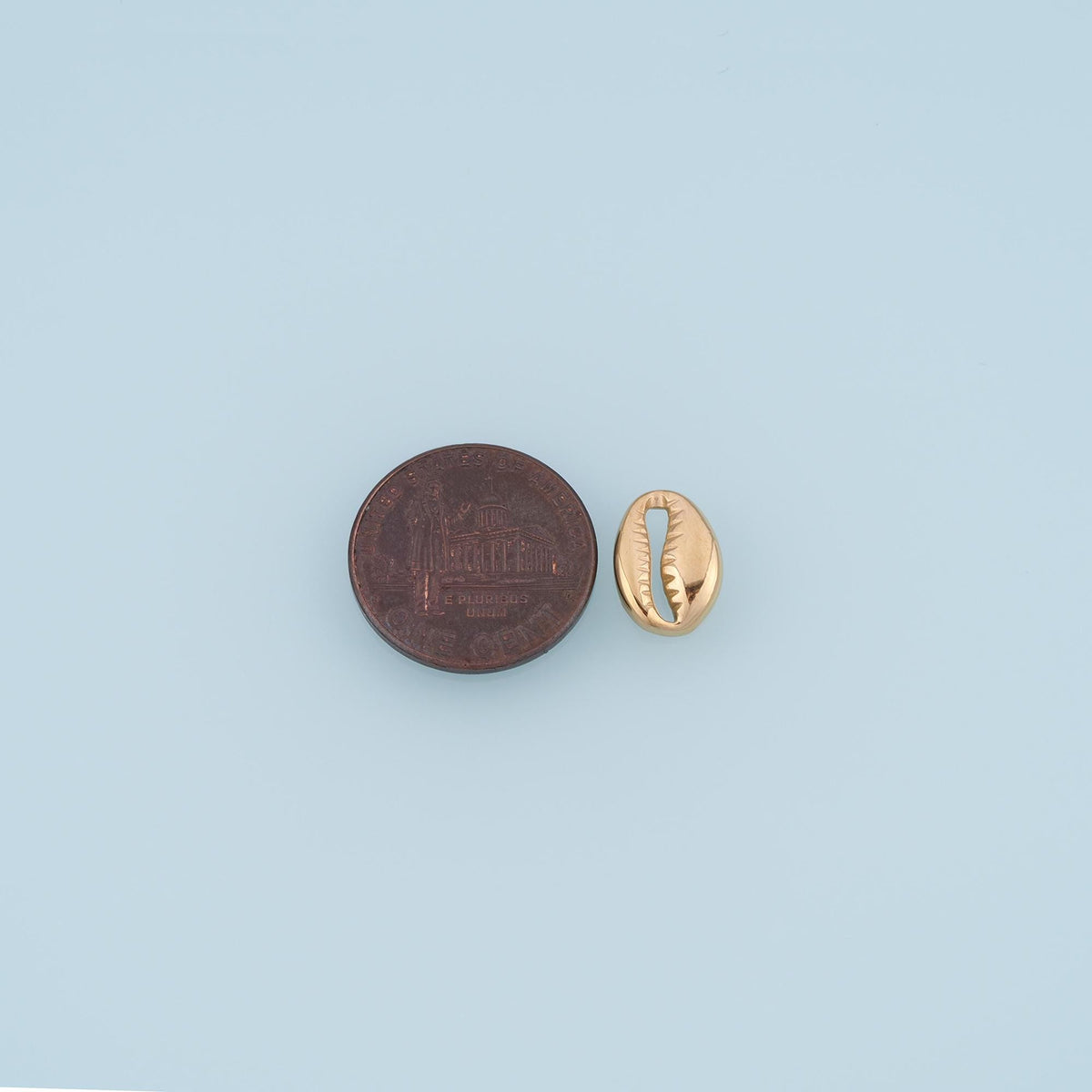 Shell Connector for Jewelry Making