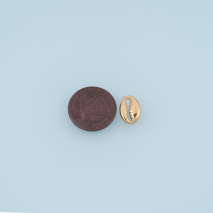 Shell Connector for Jewelry Making