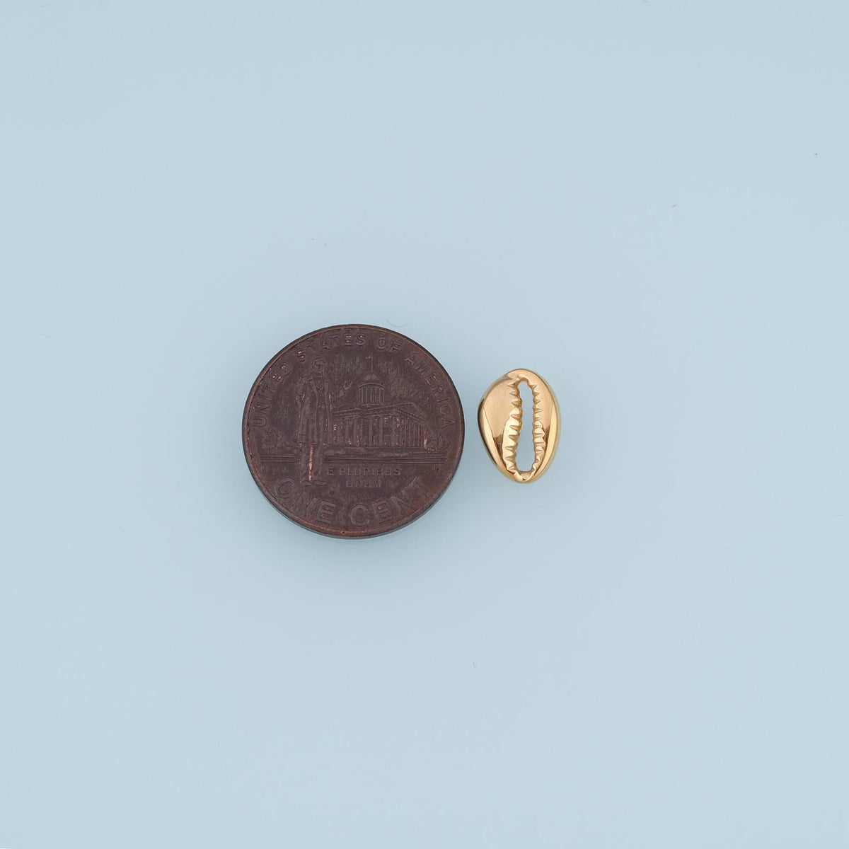 Shell Connector for Jewelry Making