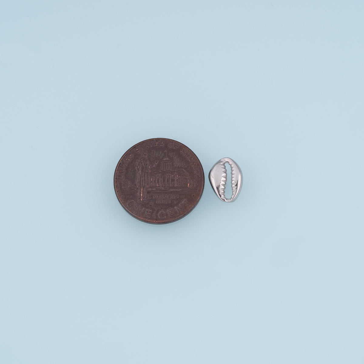 Shell Connector for Jewelry Making