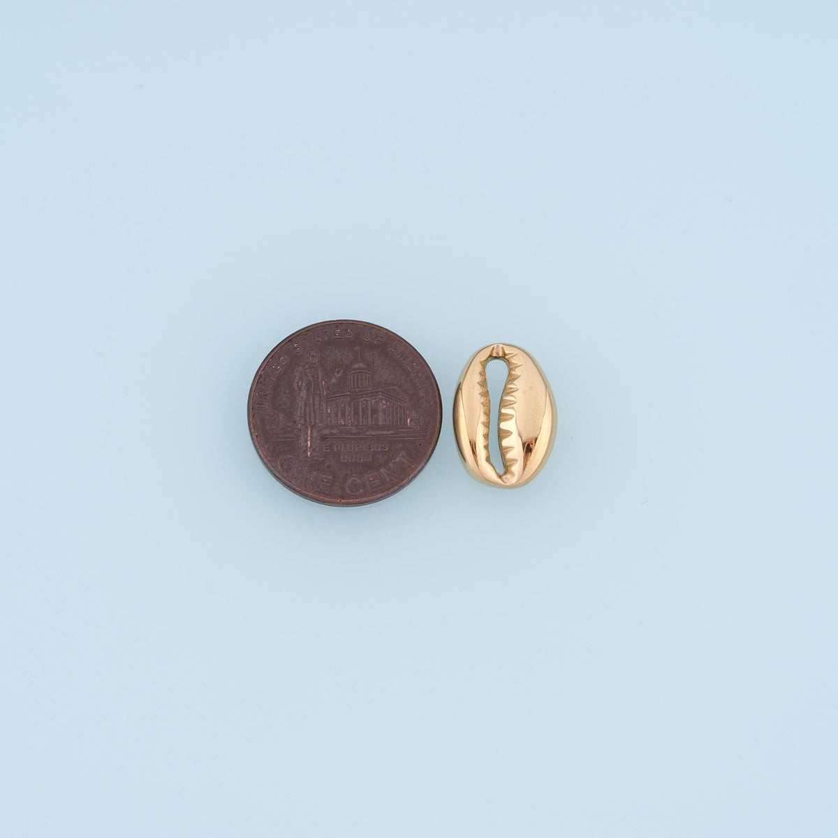 Shell Connector for Jewelry Making
