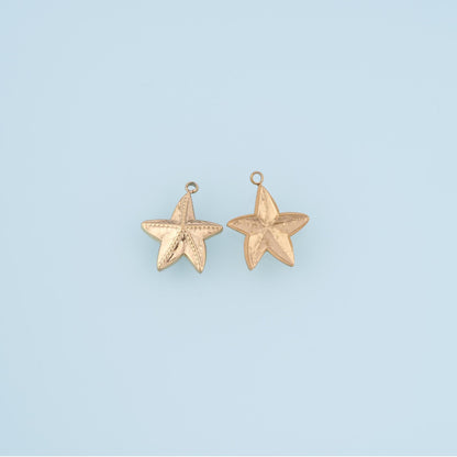 Serrated Pattern Starfish Pendant,14K Gold Minimalist Charm DIY Charm for Necklace Bracelet Making