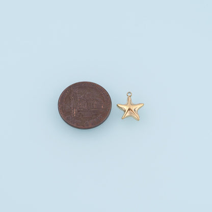 Mini Starfish Pendant,14K Gold Minimalist Charm DIY Charm for Necklace Bracelet Making