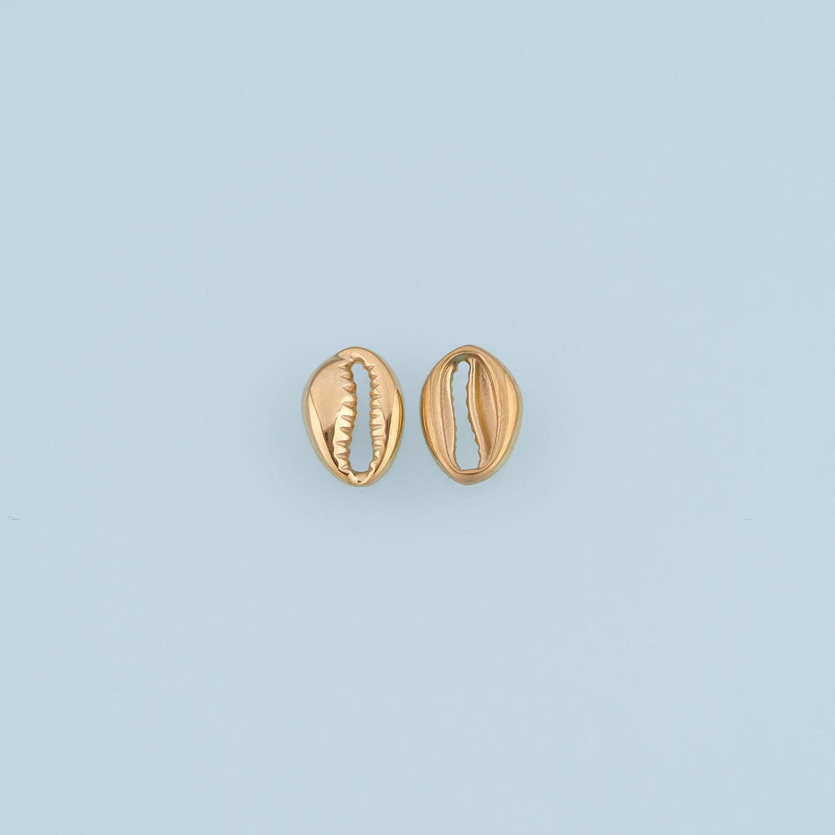 Shell Connector for Jewelry Making