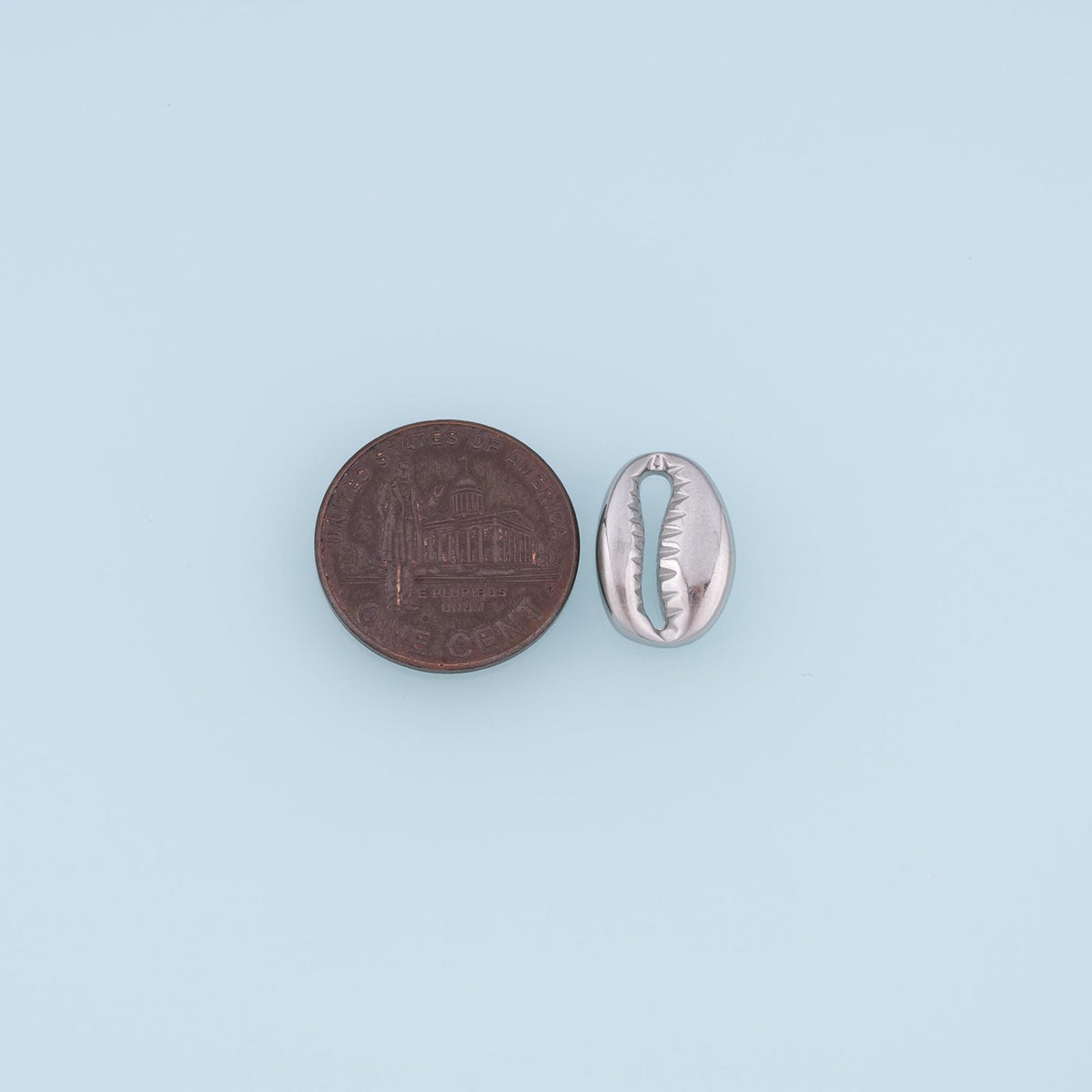 Shell Connector for Jewelry Making
