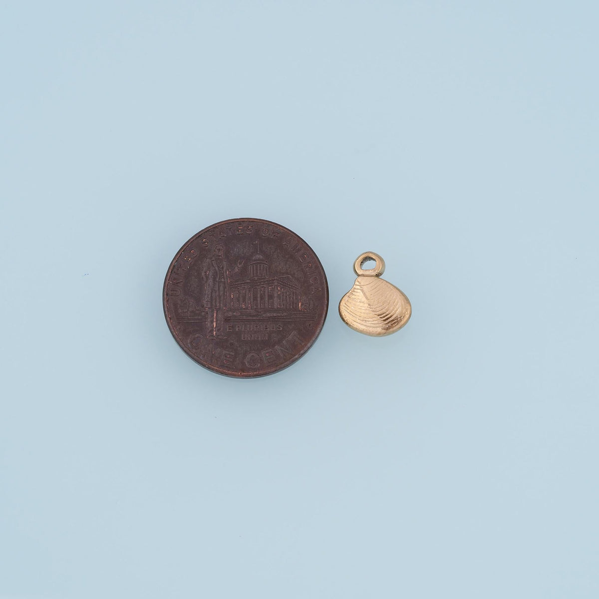 Shell Charm Pendant for Jewelry Making