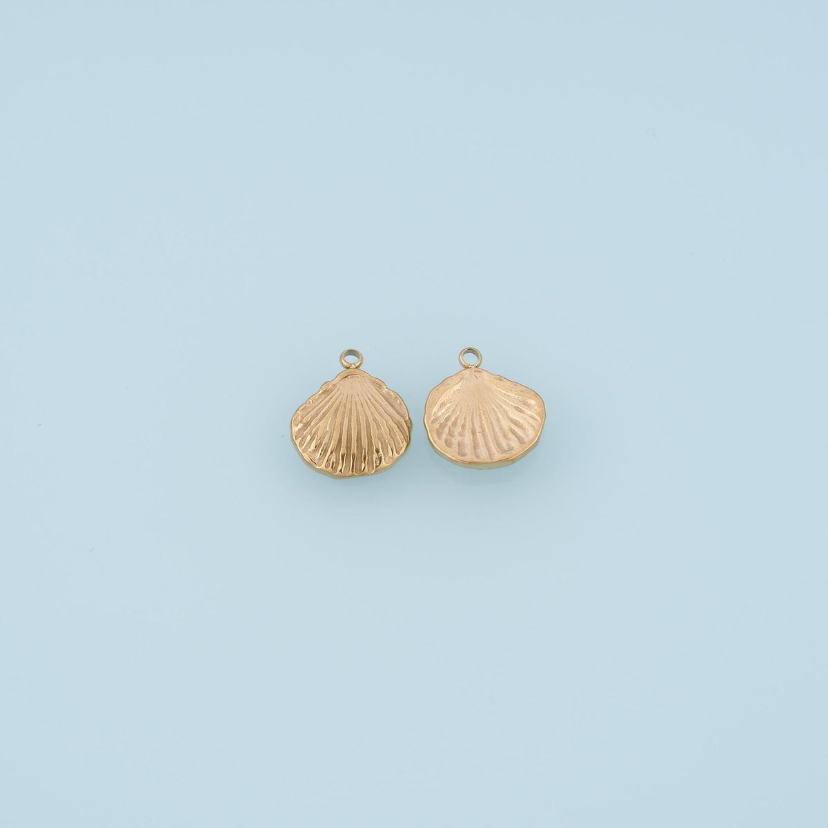 Shell Charm Pendant for Jewelry Making