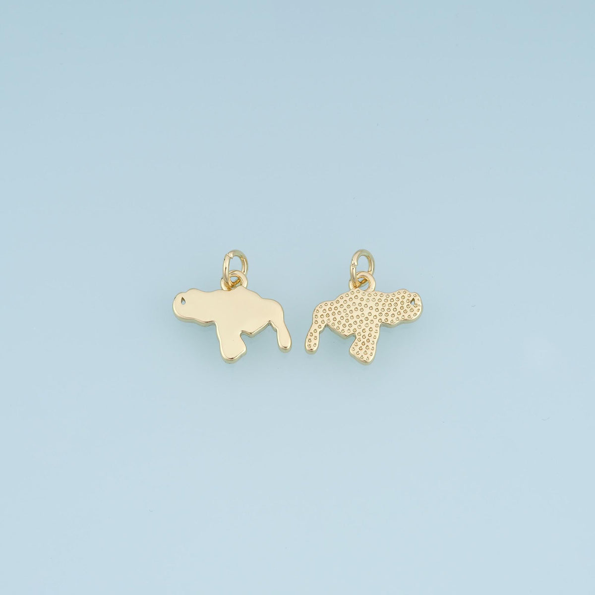 18K Gold Filled Florida Map Charm,Florida State Pendant,USA State Charm,Sunshine State Jewelry,DIY Jewelry Supply