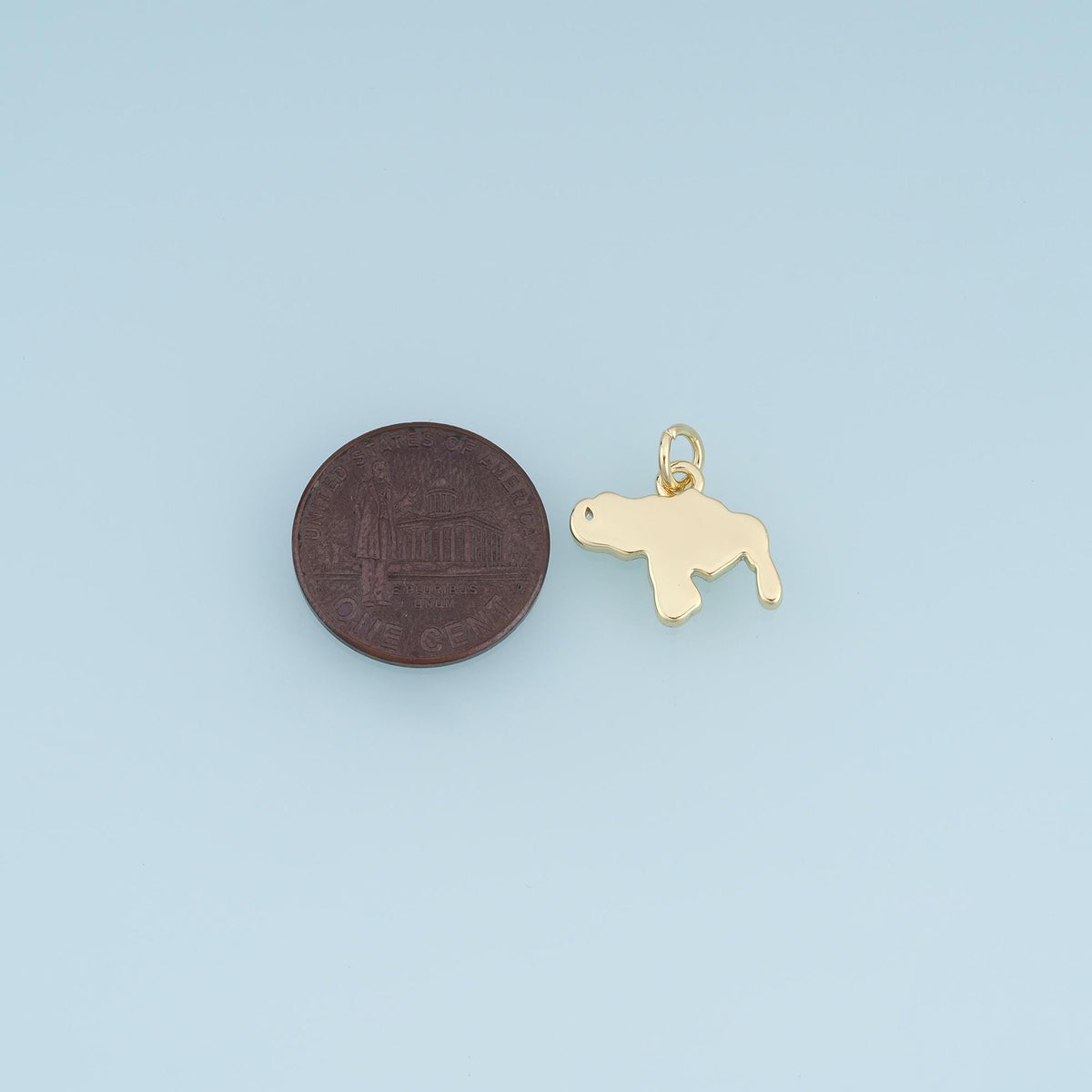 18K Gold Filled Florida Map Charm,Florida State Pendant,USA State Charm,Sunshine State Jewelry,DIY Jewelry Supply